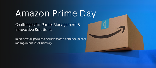 Amazon Prime Day | Challenges for Parcel Management and Innovative Solutions